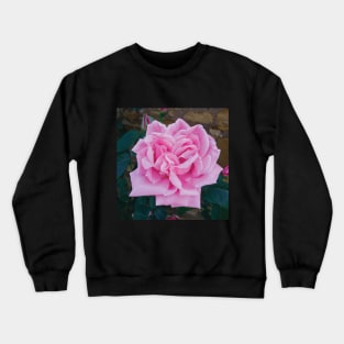 Vintage pink rose Crewneck Sweatshirt